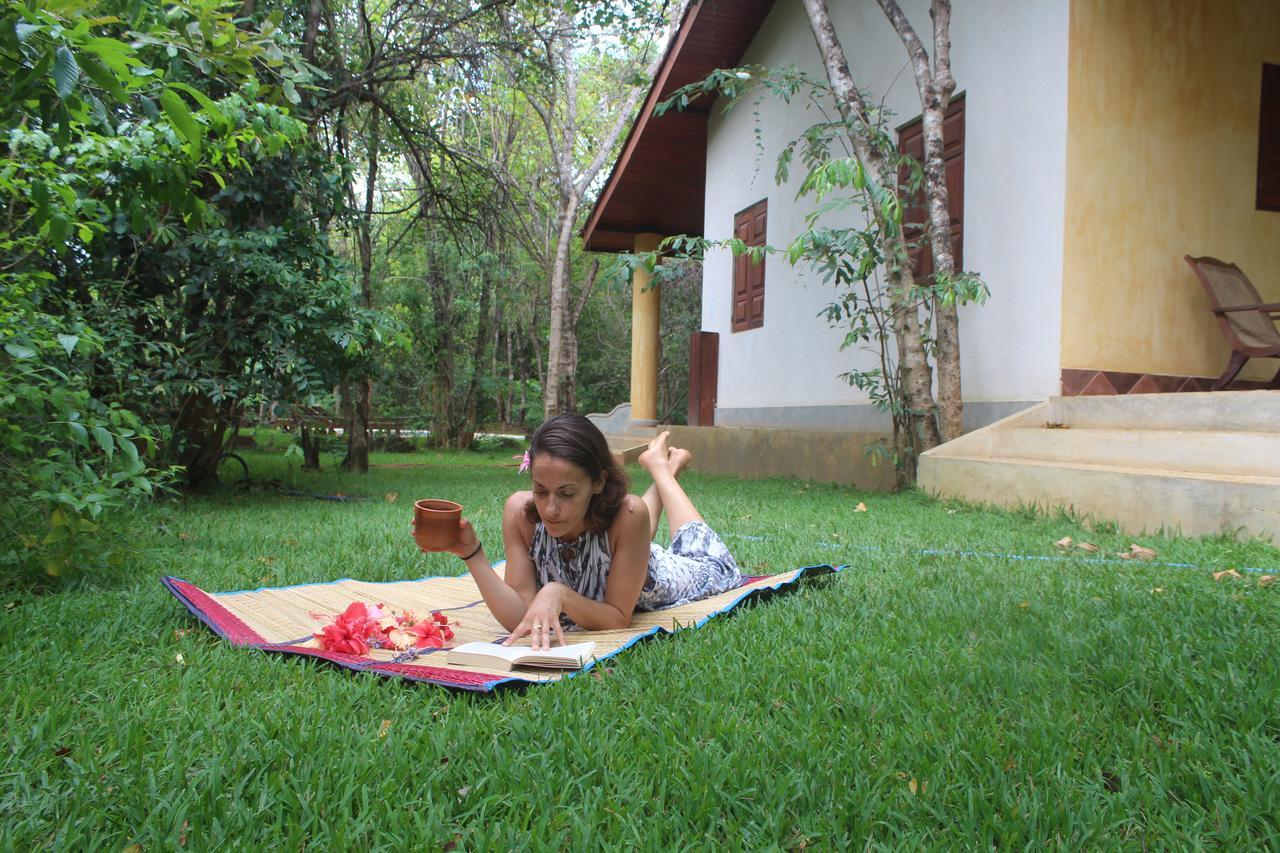 Mahagedara Wellness Retreat Hotel Avudangawa Exterior photo