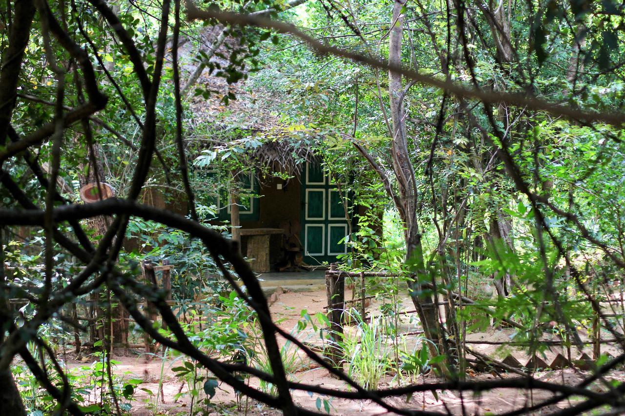Mahagedara Wellness Retreat Hotel Avudangawa Exterior photo